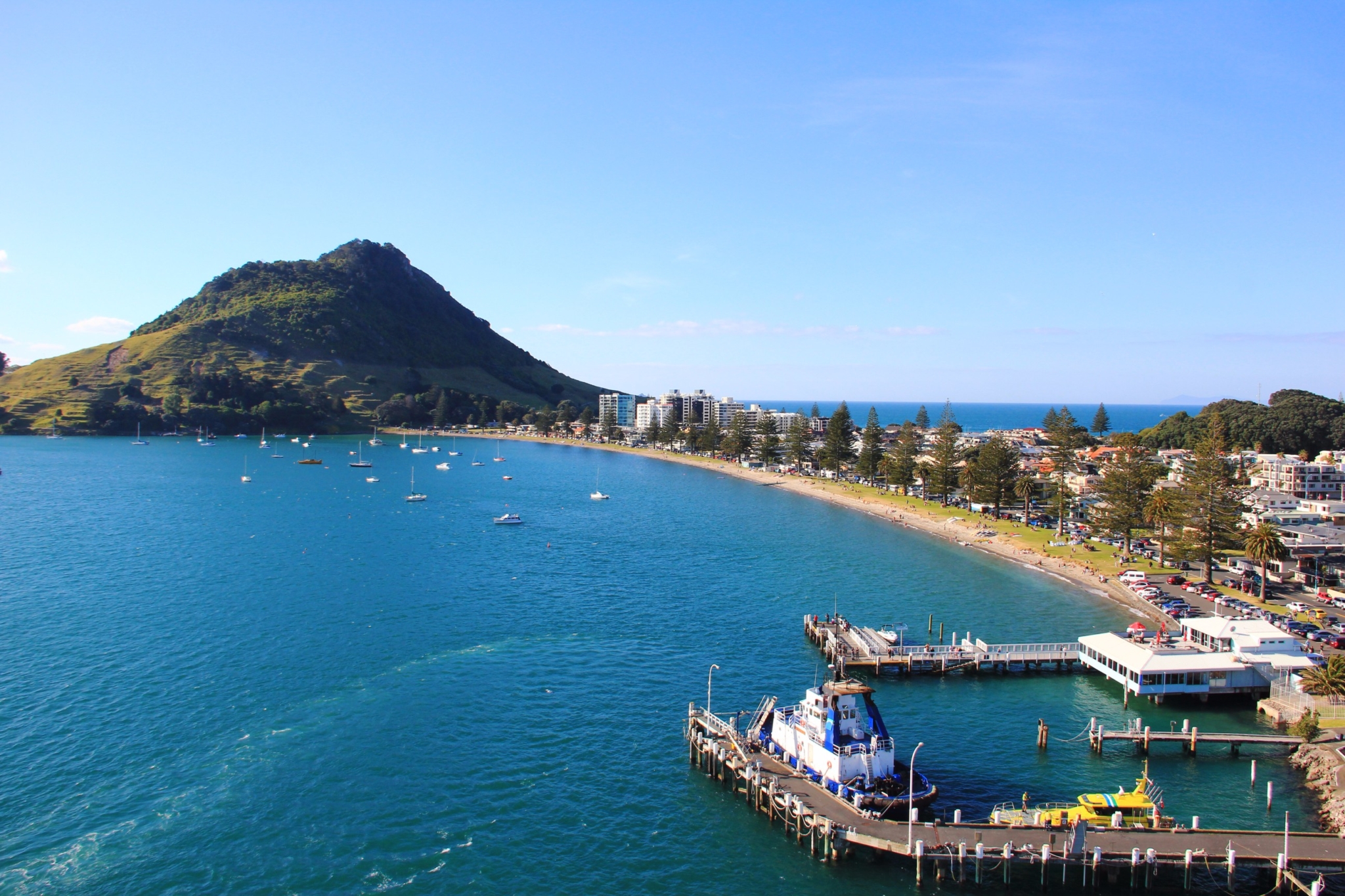 Tauranga